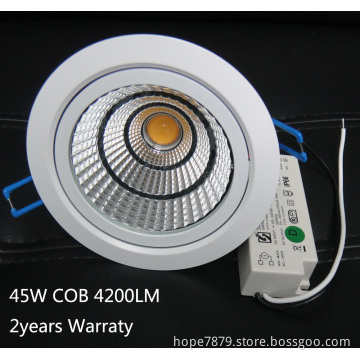 High Power LED Downlights 45W